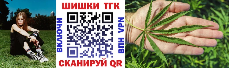 Где купить наркоту Новотроицк Псилоцибиновые грибы  МЕФ  Бошки Шишки  Alpha-PVP  МЕТАДОН  Амфетамин 