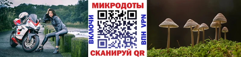 Псилоцибиновые грибы GOLDEN TEACHER Новотроицк