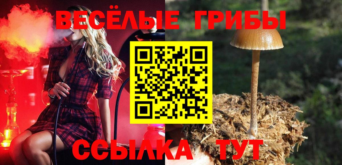 Псилоцибиновые грибы GOLDEN TEACHER Новотроицк