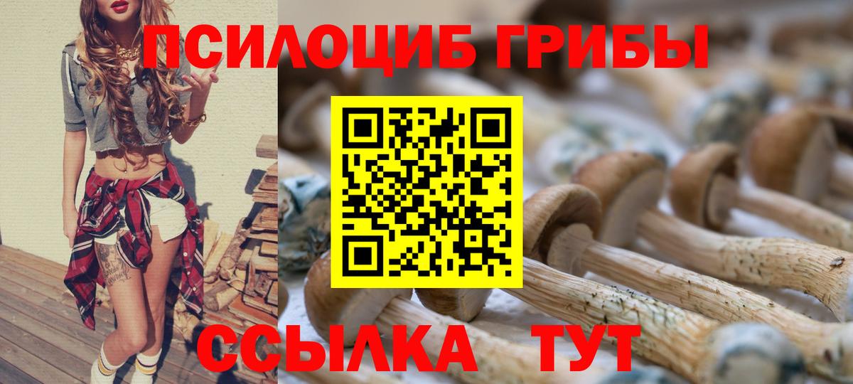 Псилоцибиновые грибы мицелий  Псилоцибиновые грибы Magic Shrooms  Вход с VPN  Новотроицк 